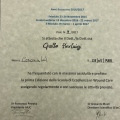 Ingrandire l'immagine: certificate 2