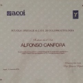 Ingrandire l'immagine: certificate 3