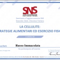 Ingrandire l'immagine: certificate 3