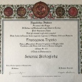 Ingrandire l'immagine: certificate 1