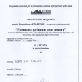 Ingrandire l'immagine: certificate 8
