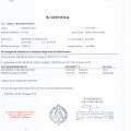 Ingrandire l'immagine: certificate 1