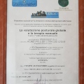 Ingrandire l'immagine: certificate 13