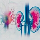 Dott. giuseppe toscano