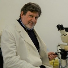 Ingrandire l'immagine: Andrea Petracca, ginecologo Palermo