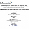 Ingrandire l'immagine: certificate 5