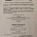 Ingrandire l'immagine: certificate 11