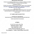 Ingrandire l'immagine: certificate 6