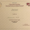 Ingrandire l'immagine: certificate 4