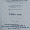Ingrandire l'immagine: certificate 1