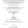 Ingrandire l'immagine: certificate 1