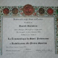 Ingrandire l'immagine: certificate 4