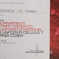 Ingrandire l'immagine: certificate 5