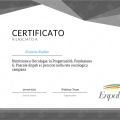Ingrandire l'immagine: certificate 1