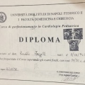 Ingrandire l'immagine: certificate 4