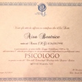 Ingrandire l'immagine: certificate 1