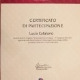 Ingrandire l'immagine: certificate 4