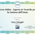 Ingrandire l'immagine: certificate 2