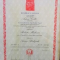 Ingrandire l'immagine: certificate 8
