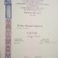 Ingrandire l'immagine: certificate 9