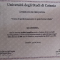 Ingrandire l'immagine: certificate 1