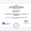 Ingrandire l'immagine: certificate 31