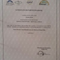 Ingrandire l'immagine: certificate 14