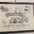 Ingrandire l'immagine: certificate 9