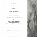 Ingrandire l'immagine: certificate 1