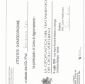 Ingrandire l'immagine: certificate 8