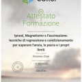 Ingrandire l'immagine: certificate 4