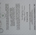 Ingrandire l'immagine: certificate 1