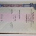 Ingrandire l'immagine: certificate 4