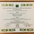 Ingrandire l'immagine: certificate 4