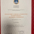 Ingrandire l'immagine: certificate 24