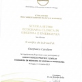 Ingrandire l'immagine: certificate 29