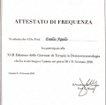 Ingrandire l'immagine: certificate 7