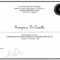 Ingrandire l'immagine: certificate 1