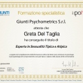Ingrandire l'immagine: certificate 14