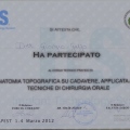 Ingrandire l'immagine: certificate 1