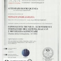 Ingrandire l'immagine: certificate 2