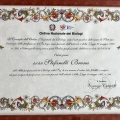 Ingrandire l'immagine: certificate 11