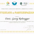 Ingrandire l'immagine: certificate 13