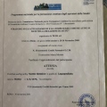 Ingrandire l'immagine: certificate 22