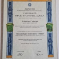 Ingrandire l'immagine: certificate 1