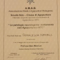 Ingrandire l'immagine: certificate 2