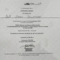 Ingrandire l'immagine: certificate 3