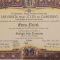 Ingrandire l'immagine: certificate 3