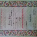 Ingrandire l'immagine: certificate 1