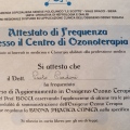 Ingrandire l'immagine: certificate 4